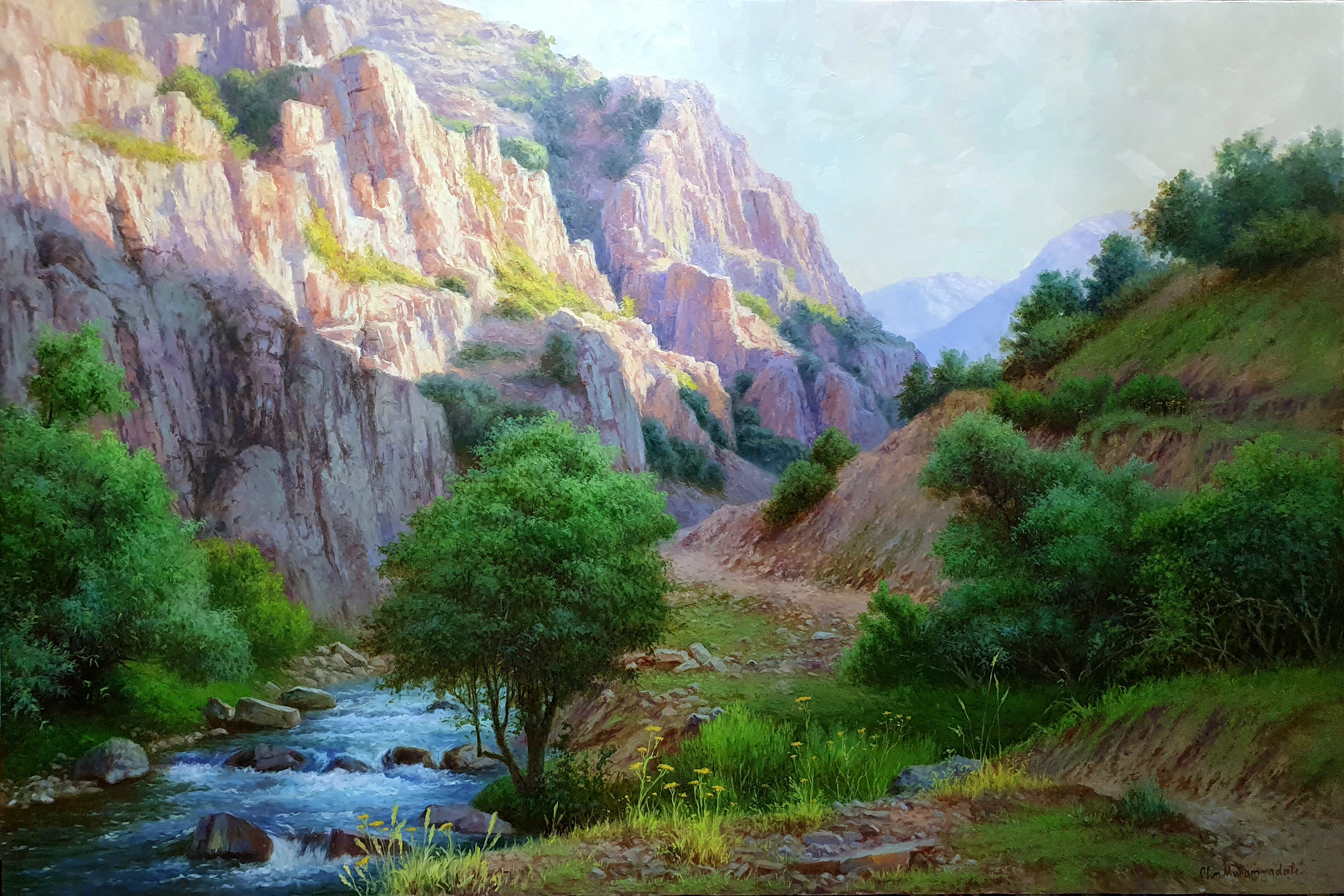 On the mountainside